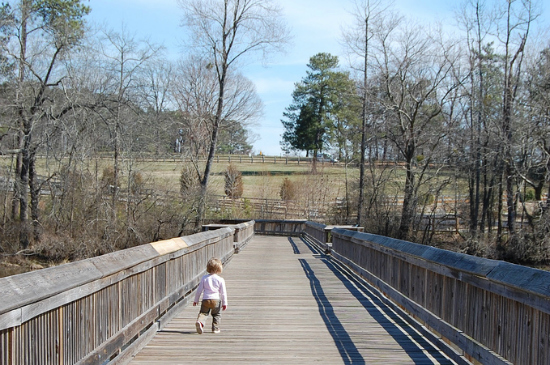 Garner, NC Experiencing Economic Boom Thanks to Cabela’s Superstore – How Can This Help You?