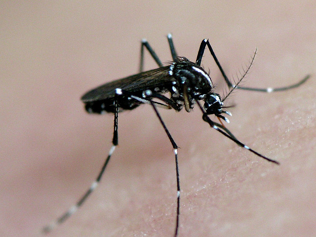 Consumer Alert: Zika Virus Scam Warning Issued by Attorney General Roy Cooper