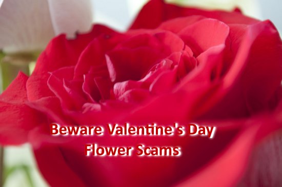 Valentine’s Day Scam Alert – Avoid February 14th Flower Fraud Spreading in North Carolina