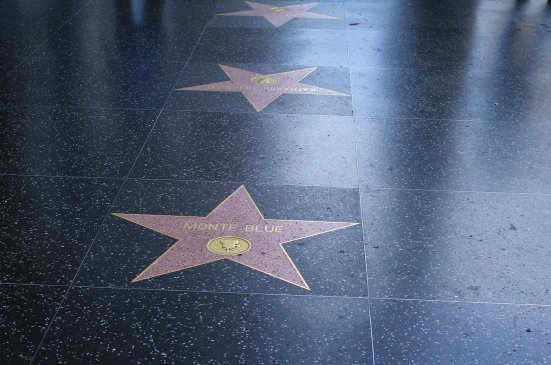 Celebrity bankruptcy Celebrity bankruptcy