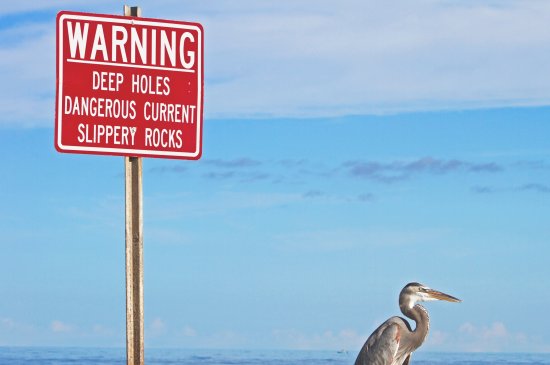 Warning signs Warning signs
