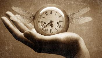 Chapter 13 Bankruptcy – Timing is Everything