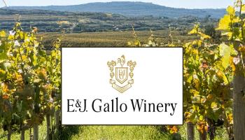 E.J Gallo Winery Files for Bankruptcy Protection