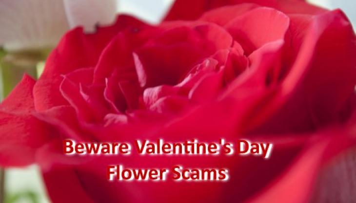 Valentine’s Day Scam Alert – Avoid February 14th Flower Fraud Spreading in North Carolina