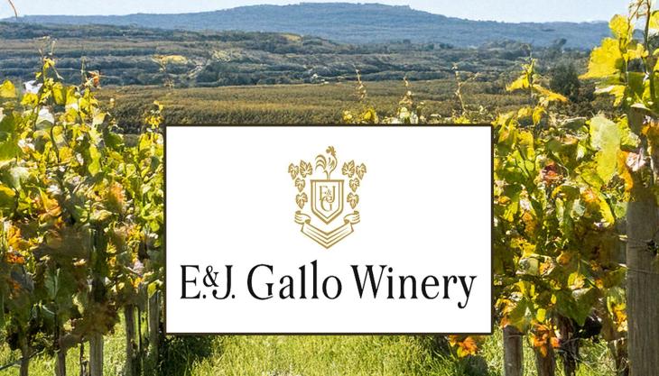 E.J Gallo Winery Files for Bankruptcy Protection